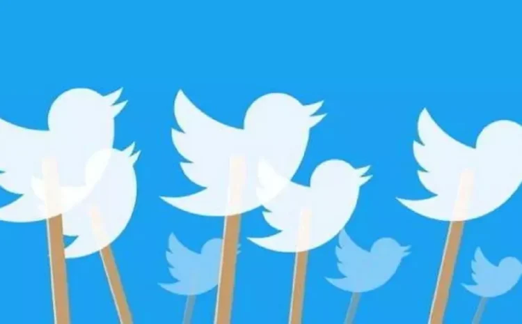 Twitter के बर्ड लोगो को हटाने की तैयारी कर रहे एलन मस्क,ट्वीट कर दी जानकारी