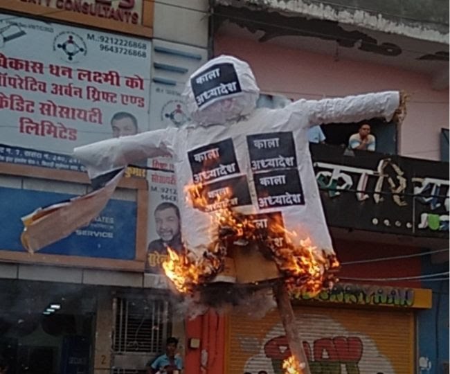 Delhi aap protesr