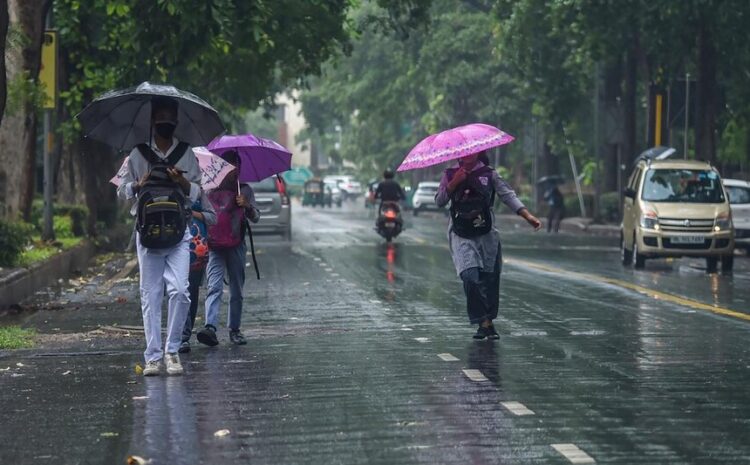  बिहार के कई जिलों में हो सकता है बारिश,मौसम विभाग ने अलर्ट किया जारी