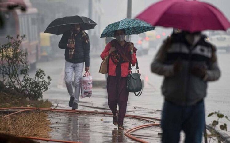  दिल्ली में बारिश को लेकर जारी हुआ येलो अलर्ट,पंजाब से लेकर बिहार तक छाया रहेगा घना कोहरा